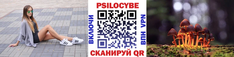 Псилоцибиновые грибы Psilocybe  цены   Элиста 